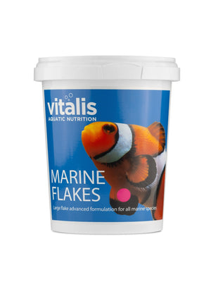 wholesale_coral - saltwater_fish saltwater_coral - rare corals - coralsdepot - Corals_Depot - live_corals - eye - catching - coral quality_marine_fish - quality - marine discoun