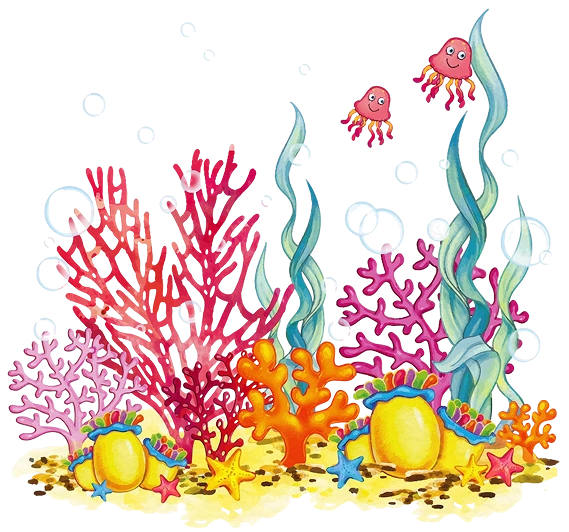 Colorful underwater scene with coral, fish, and sea creatures on a white background