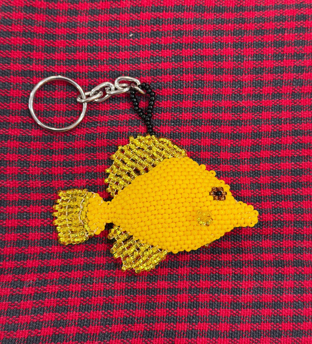 wholesale_coral - saltwater_fish saltwater_coral - rare corals - coralsdepot - Corals_Depot - live_corals - eye - catching - coral quality_marine_fish - quality - marine discoun